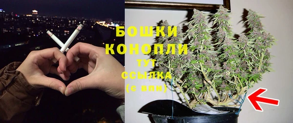 гидра Дмитровск