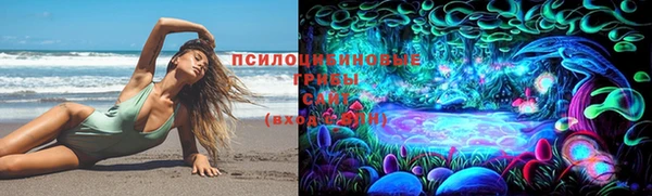 гидра Дмитровск