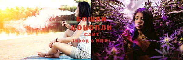 гидра Дмитровск