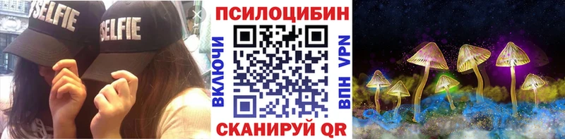 Псилоцибиновые грибы MAGIC MUSHROOMS  блэк спрут онион  Новочебоксарск 